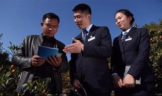 双金山什么意思 金山金融是什么平台