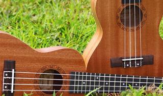 如何选购尤克里里 尤克里里新手入门