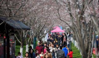 在景区管委会上班待遇怎么样 瘦西湖景区管委会