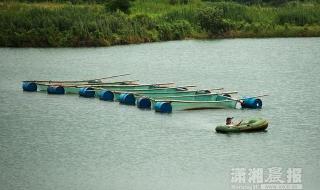 香港最高楼有多高长沙建世第—高校是真的不是,到底有多高 长沙建世界第一高楼