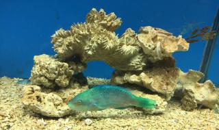 秦皇岛新奥海底世界 秦皇岛新奥海底世界