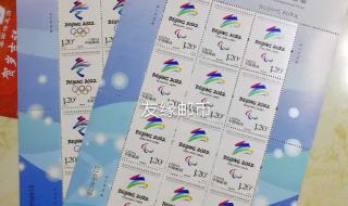 2022 年北京冬残奥会的会徽名为飞跃 2022年冬残奥会会徽的寓意